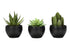 MN-649556    Artificial Plant, 6" Tall, Succulent, Indoor, Faux, Fake, Table, Greenery, Potted, Set Of 3, Decorative, Green Plants, Black Pots