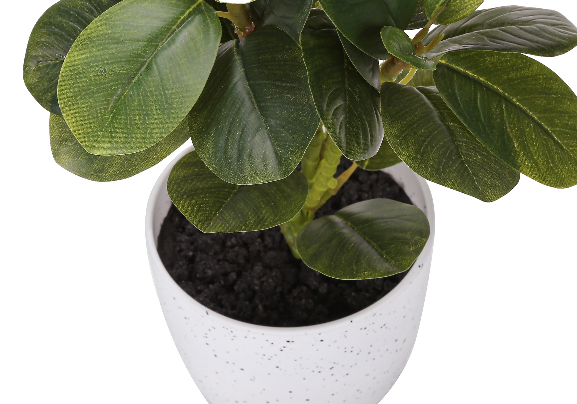 MN-R659557    Artificial Plant, 14" Tall, Ficus, Indoor, Faux, Fake, Table, Greenery, Potted, Set Of 2, Decorative, Green Leaves, White Pots
