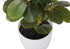 MN-R659557    Artificial Plant, 14" Tall, Ficus, Indoor, Faux, Fake, Table, Greenery, Potted, Set Of 2, Decorative, Green Leaves, White Pots