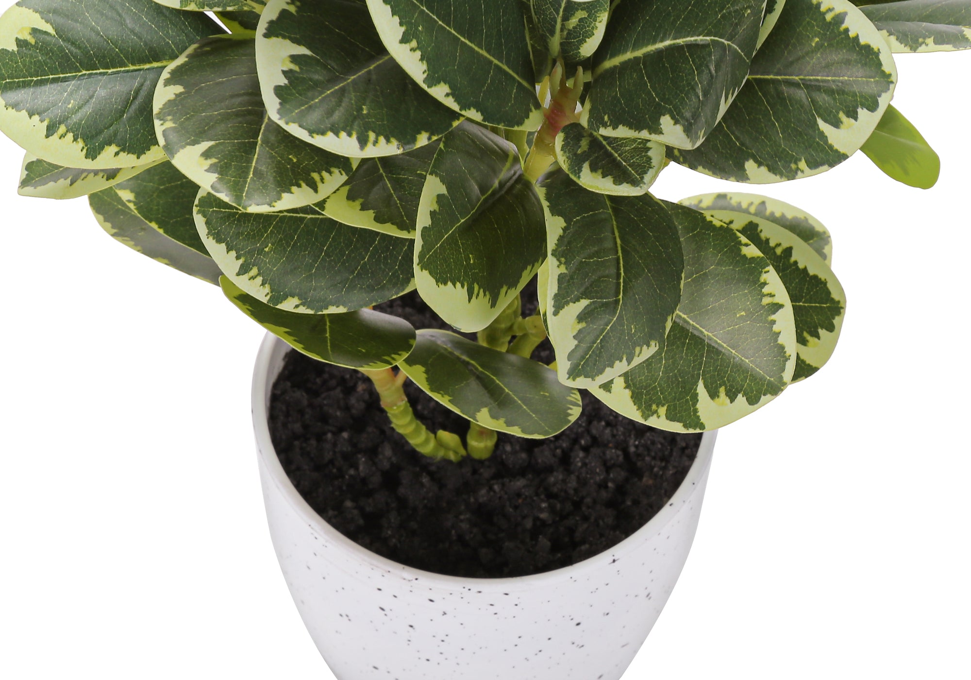 MN-R659557    Artificial Plant, 14" Tall, Ficus, Indoor, Faux, Fake, Table, Greenery, Potted, Set Of 2, Decorative, Green Leaves, White Pots