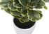 MN-R659557    Artificial Plant, 14" Tall, Ficus, Indoor, Faux, Fake, Table, Greenery, Potted, Set Of 2, Decorative, Green Leaves, White Pots