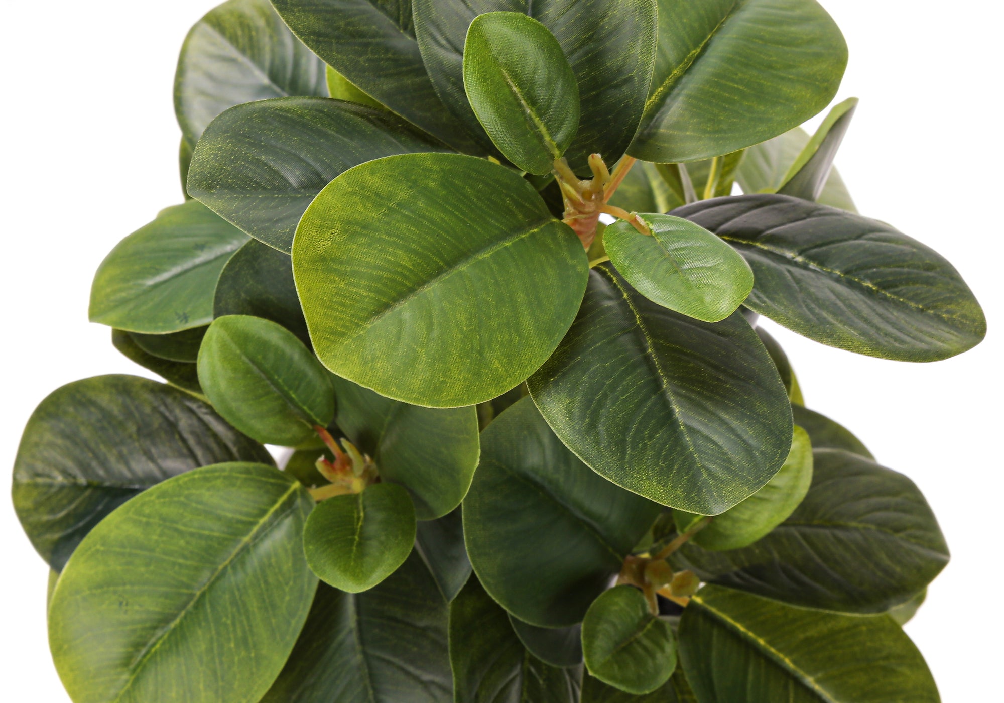 MN-R659557    Artificial Plant, 14" Tall, Ficus, Indoor, Faux, Fake, Table, Greenery, Potted, Set Of 2, Decorative, Green Leaves, White Pots