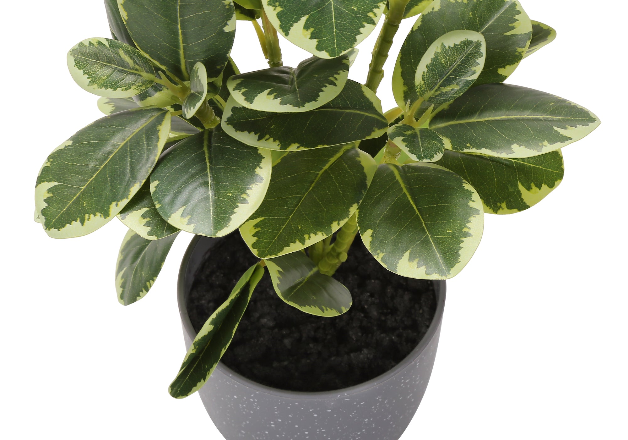 MN-669558    Artificial Plant, 14" Tall, Ficus, Indoor, Faux, Fake, Table, Greenery, Potted, Set Of 2, Decorative, Green Leaves, Grey Pots