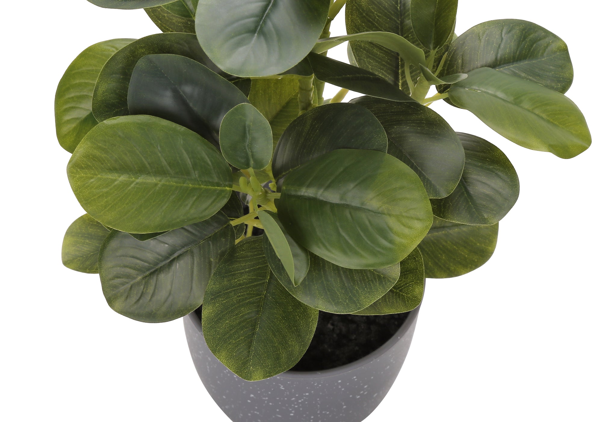 MN-669558    Artificial Plant, 14" Tall, Ficus, Indoor, Faux, Fake, Table, Greenery, Potted, Set Of 2, Decorative, Green Leaves, Grey Pots