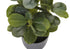 MN-669558    Artificial Plant, 14" Tall, Ficus, Indoor, Faux, Fake, Table, Greenery, Potted, Set Of 2, Decorative, Green Leaves, Grey Pots