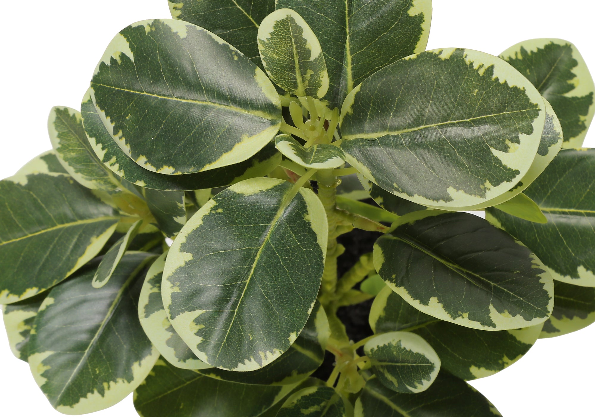 MN-669558    Artificial Plant, 14" Tall, Ficus, Indoor, Faux, Fake, Table, Greenery, Potted, Set Of 2, Decorative, Green Leaves, Grey Pots