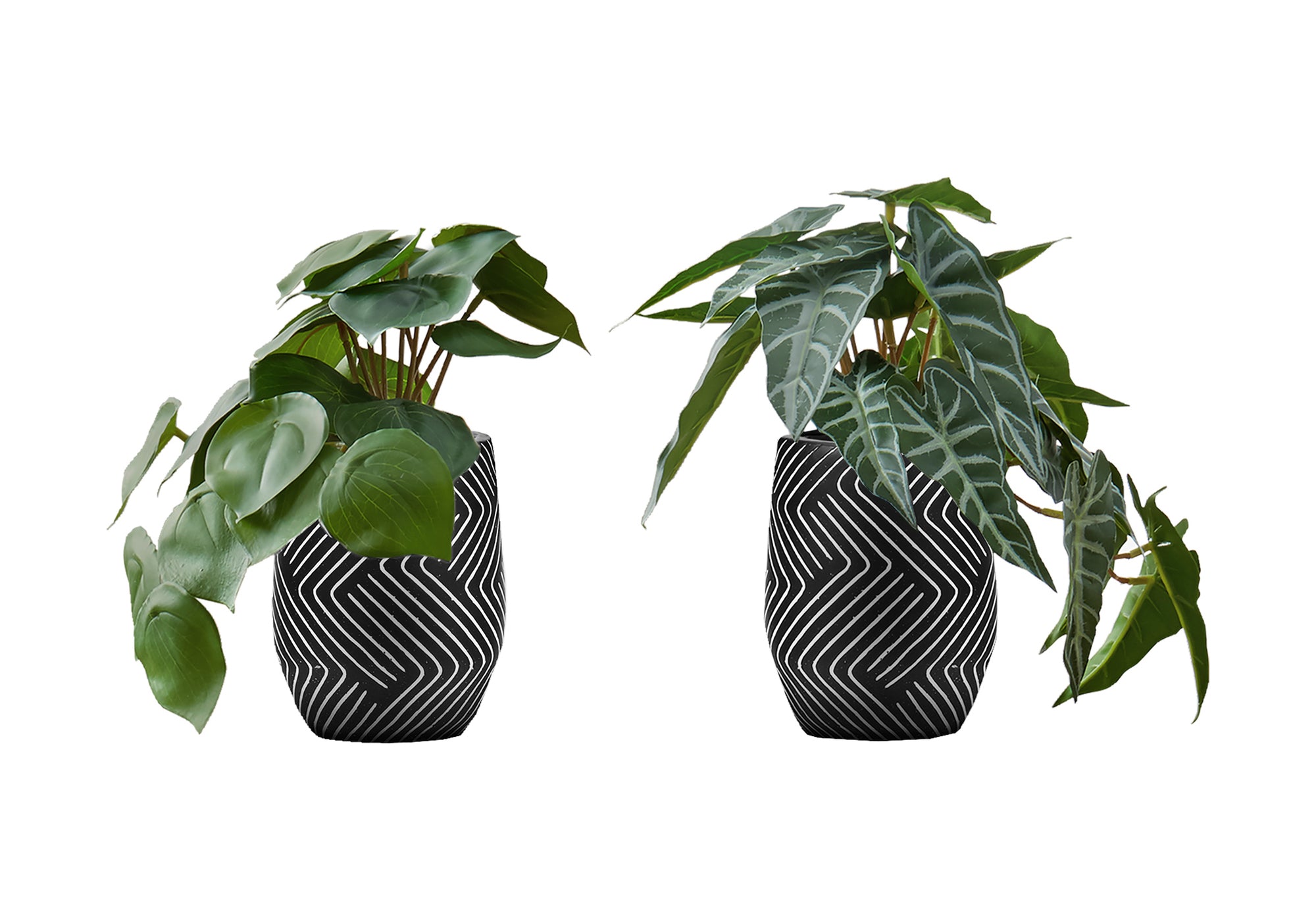 MN-679559    Artificial Plant, 8" Tall, Alocasia, Indoor, Faux, Fake, Table, Greenery, Potted, Set Of 2, Decorative, Green Leaves, Black Cement Pots