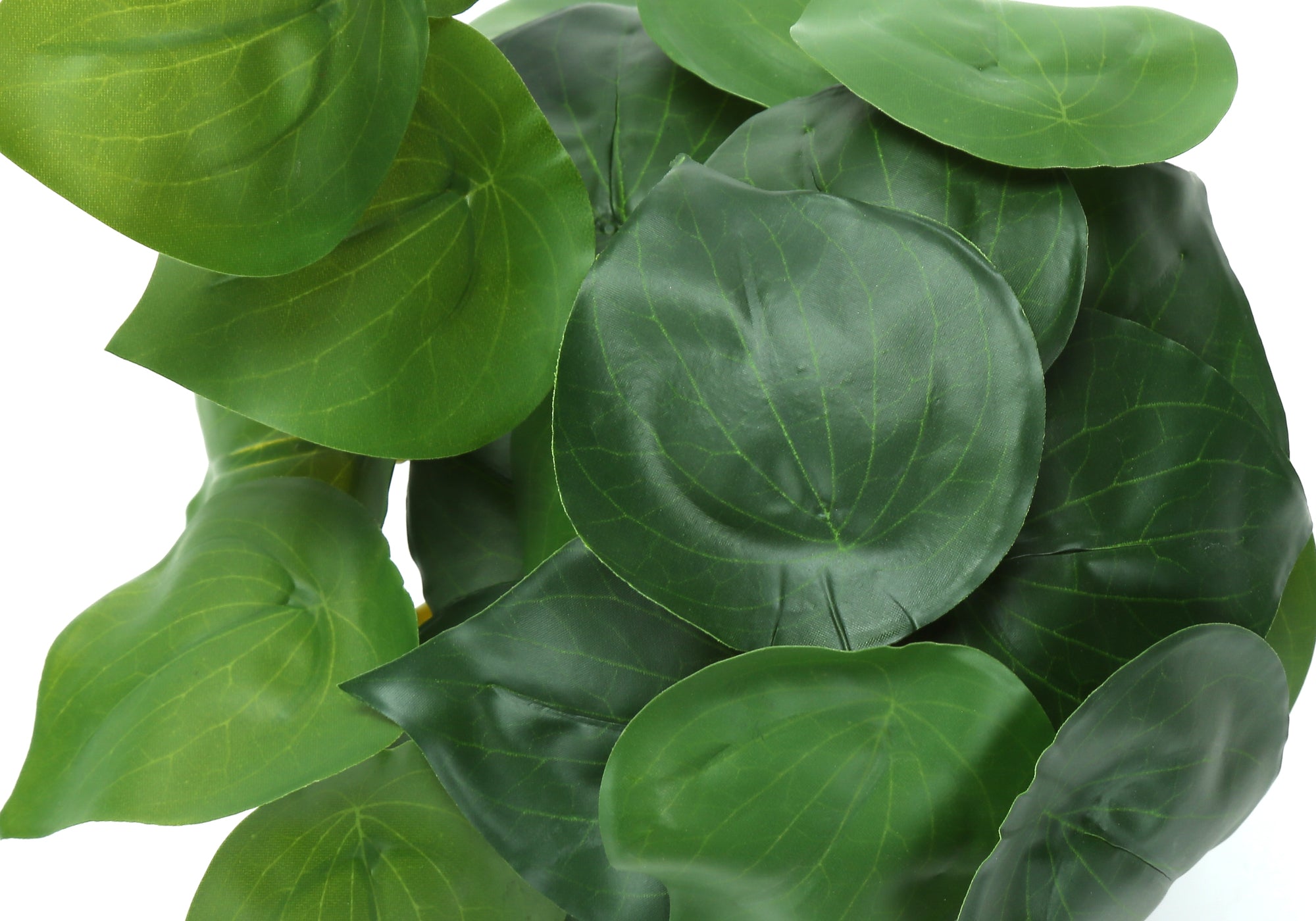 MN-679559    Artificial Plant, 8" Tall, Alocasia, Indoor, Faux, Fake, Table, Greenery, Potted, Set Of 2, Decorative, Green Leaves, Black Cement Pots