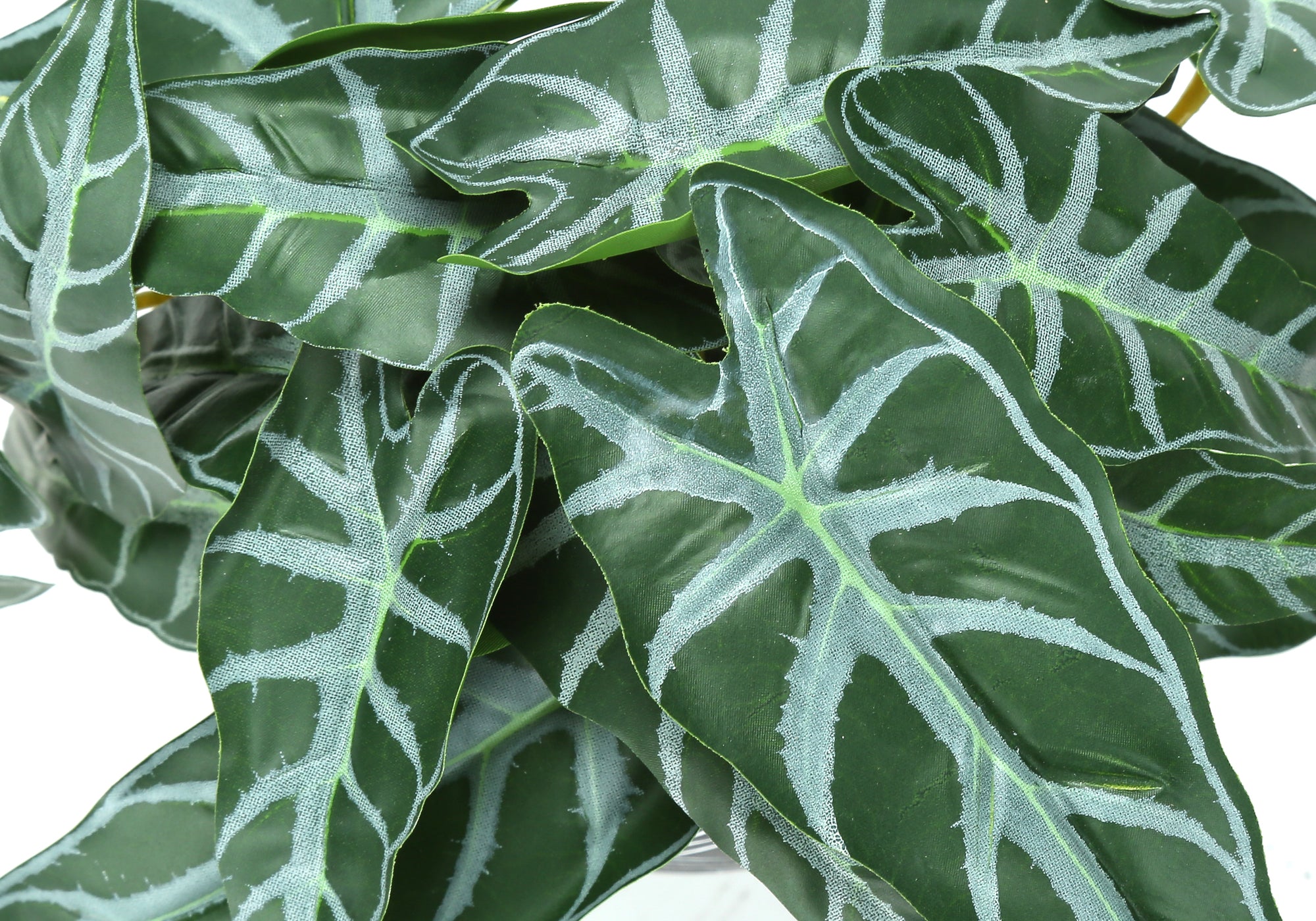 MN-679559    Artificial Plant, 8" Tall, Alocasia, Indoor, Faux, Fake, Table, Greenery, Potted, Set Of 2, Decorative, Green Leaves, Black Cement Pots