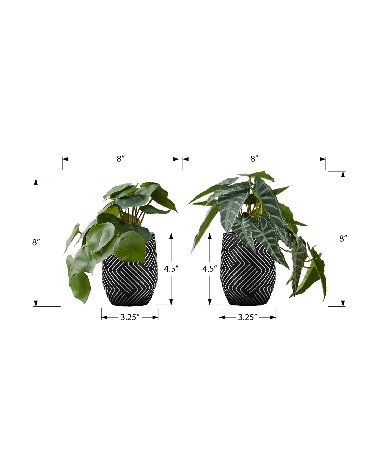 MN-679559    Artificial Plant, 8" Tall, Alocasia, Indoor, Faux, Fake, Table, Greenery, Potted, Set Of 2, Decorative, Green Leaves, Black Cement Pots
