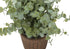 MN-689560    Artificial Plant, 13" Tall, Eucalyptus Grass, Indoor, Faux, Fake, Table, Greenery, Potted, Set Of 2, Decorative, Green Leaves, Brown Pots