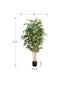 MN-979592    Artificial Plant, 83" Tall, Bamboo Tree, Floor, Indoor, Potted, Real Touch, Green Leaves, Black Pot