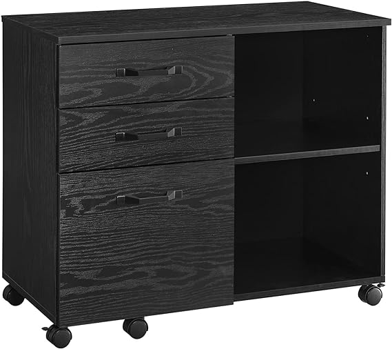 JL-1130 Storage Cabinet, Lateral File, For Home Office, For A4 & Letter Sized Documents, Printer Stand, Black