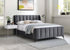 Bed - Queen Size with Grey Velvet with Padded Headboard  IF-5120