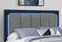 "EMMA" Bed, Grey + Black, LED Lighting, USB Charging, Built in Bench