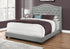 MN-185966Q    Bed, Frame, Platform, Bedroom, Queen Size, Upholstered, Velvet Fabric, Wood Legs, Grey, Black, Classic, Contemporary, Modern