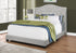 MN-205967Q    Bed, Frame, Platform, Bedroom, Queen Size, Upholstered, Velvet Fabric, Wood Legs, Light Grey, Black, Classic, Contemporary, Modern