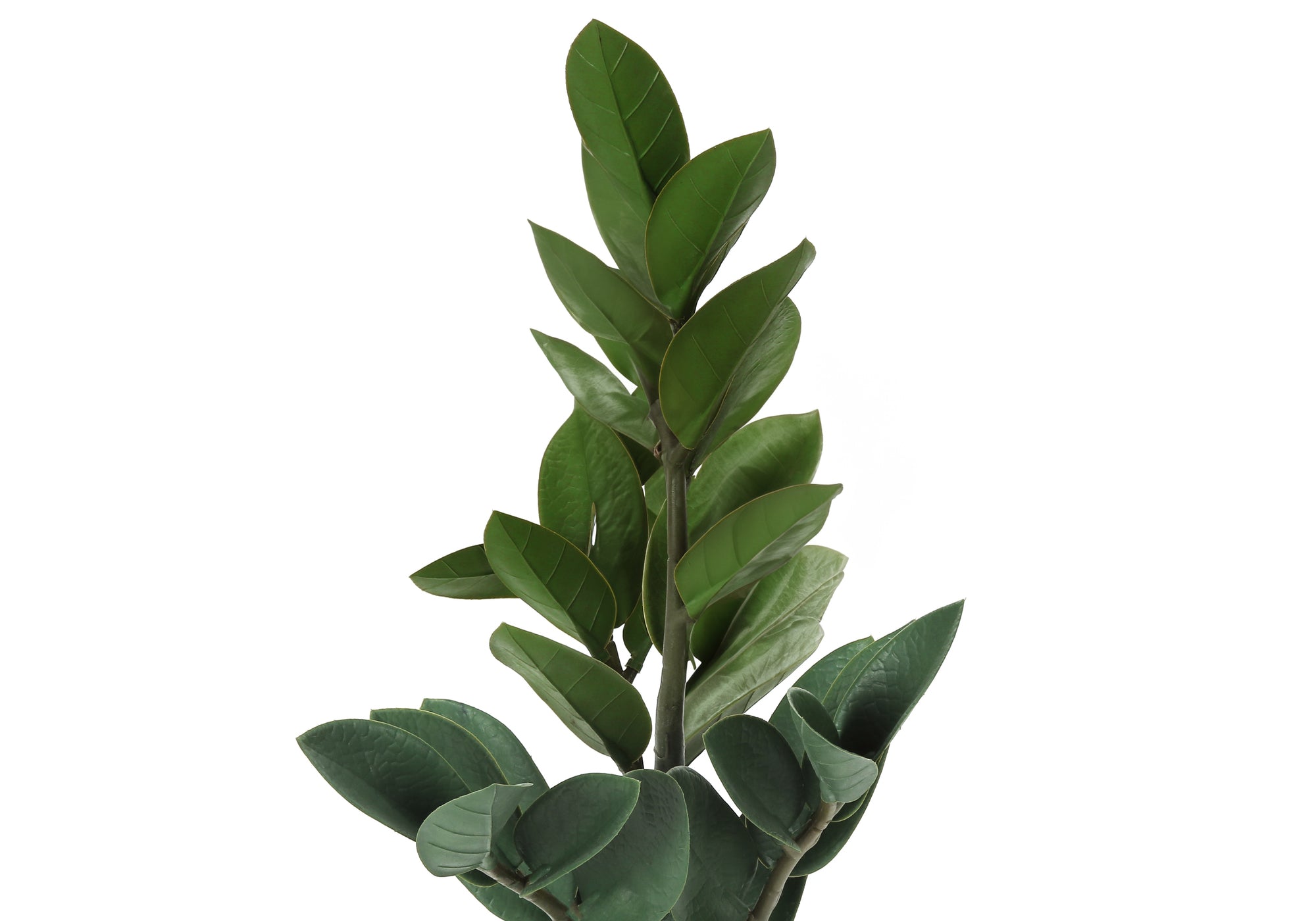 MN-219500    Artificial Plant, 20" Tall, Zz, Indoor, Faux, Fake, Table, Greenery, Potted, Real Touch, Decorative, Green Leaves, Grey Cement Pot