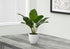 MN-239502    Artificial Plant, 17" Tall, Aureum, Indoor, Faux, Fake, Table, Greenery, Potted, Real Touch, Decorative, Green Leaves, White Pot