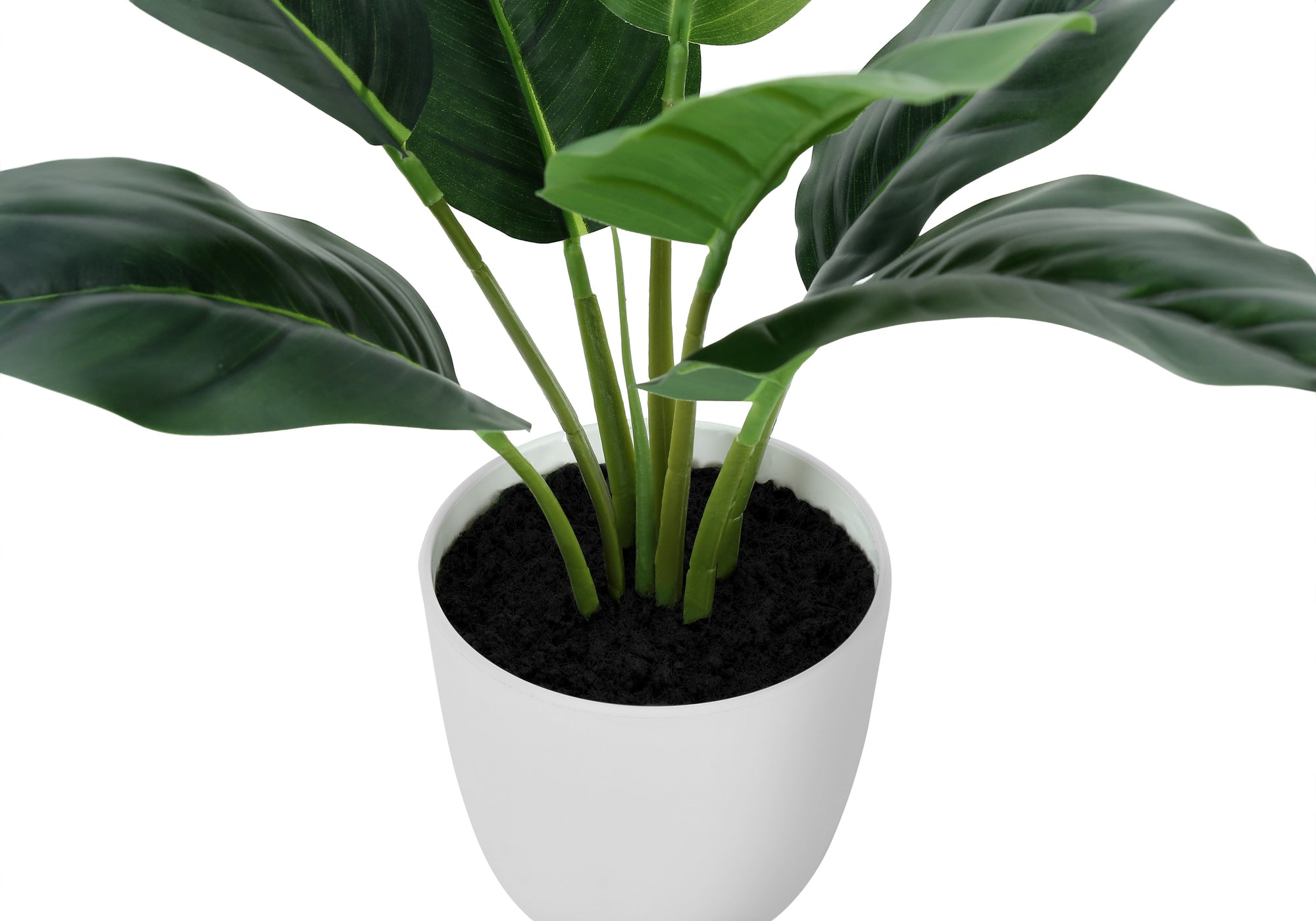 MN-239502    Artificial Plant, 17" Tall, Aureum, Indoor, Faux, Fake, Table, Greenery, Potted, Real Touch, Decorative, Green Leaves, White Pot