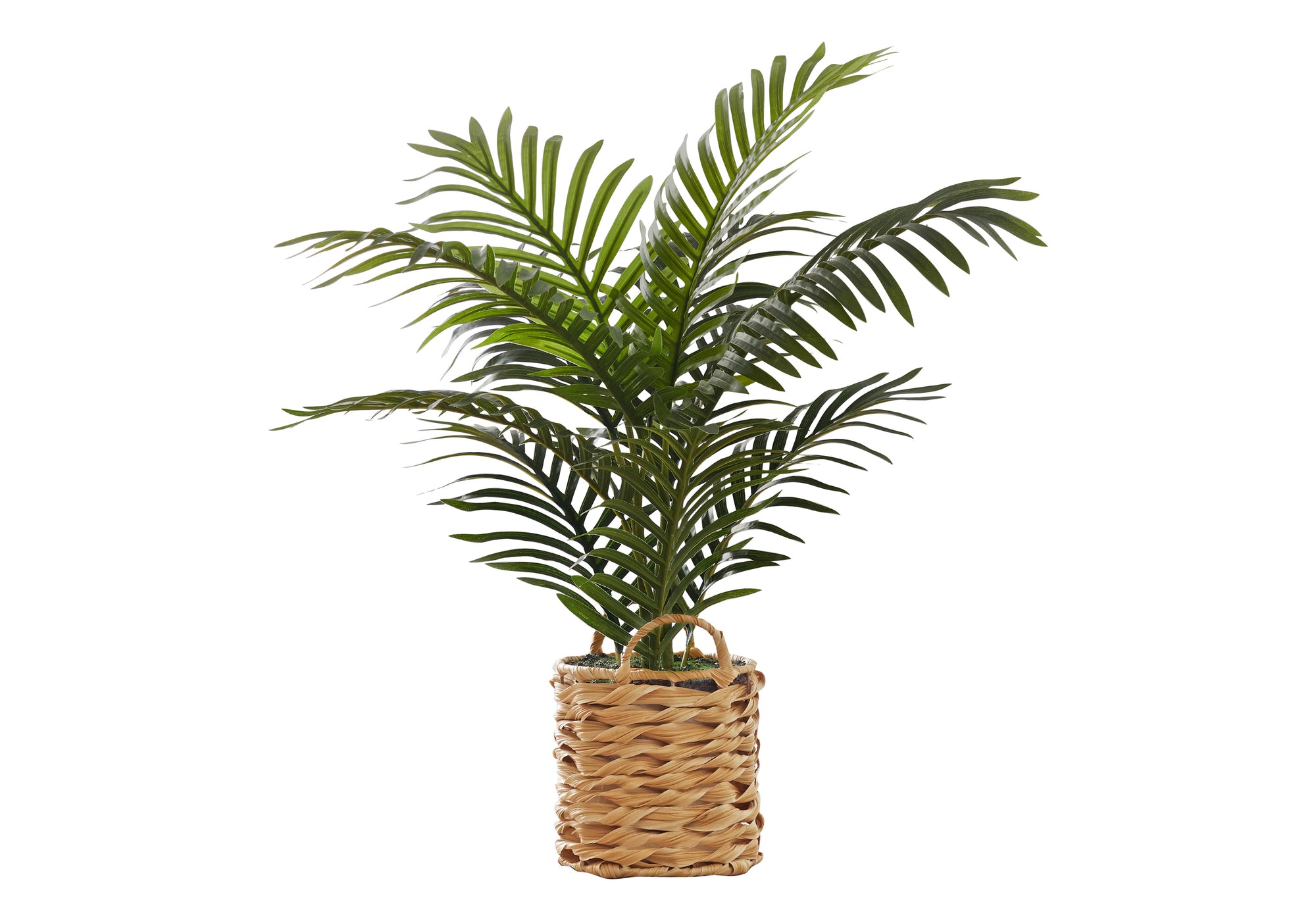 MN-249503    Artificial Plant, 24" Tall, Palm, Indoor, Faux, Fake, Table, Floor, Greenery, Potted, Real Touch, Decorative, Green Leaves, Beige Woven Basket