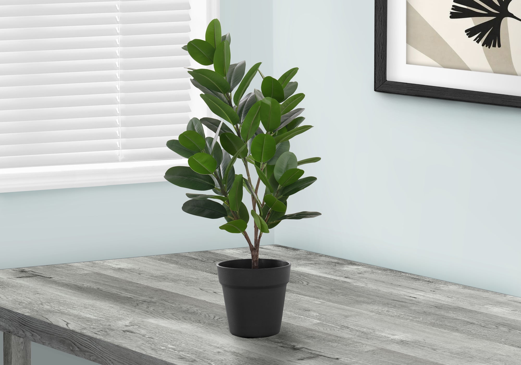 MN-259504    Artificial Plant, 28" Tall, Garcinia Tree, Indoor, Faux, Fake, Floor, Greenery, Potted, Real Touch, Decorative, Green Leaves, Black Pot