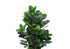 MN-289507    Artificial Plant, 31" Tall, Garcinia Tree, Indoor, Faux, Fake, Floor, Greenery, Potted, Real Touch, Decorative, Green Leaves, White Cement Pot