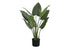MN-309509    Artificial Plant, 37" Tall, Aureum Tree, Indoor, Faux, Fake, Floor, Greenery, Potted, Real Touch, Decorative, Green Leaves, Black Pot