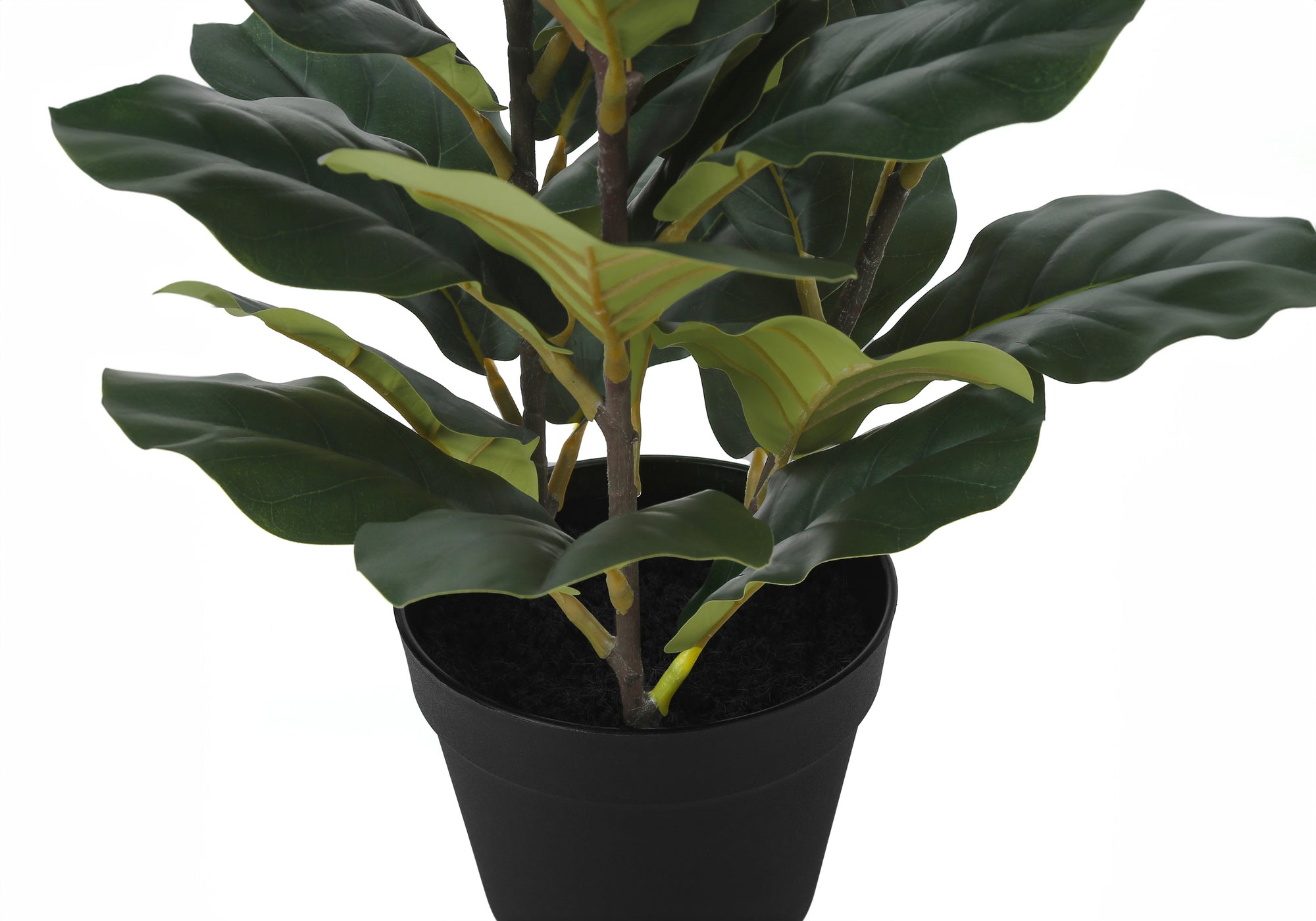 MN-329511    Artificial Plant, 32" Tall, Fiddle Tree, Indoor, Faux, Fake, Floor, Greenery, Potted, Real Touch, Decorative, Green Leaves, Black Pot