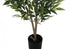 MN-409520    Artificial Plant, 47" Tall, Acacia Tree, Indoor, Faux, Fake, Floor, Greenery, Potted, Silk, Decorative, Green Leaves, Black Pot