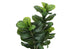 MN-469540    Artificial Plant, 41" Tall, Fiddle Tree, Indoor, Faux, Fake, Floor, Greenery, Potted, Real Touch, Decorative, Green Leaves, Black Pot