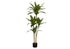 MN-499543    Artificial Plant, 51" Tall, Dracaena Tree, Indoor, Faux, Fake, Floor, Greenery, Potted, Real Touch, Decorative, Green Leaves, Black Pot