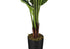 MN-519545    Artificial Plant, 59" Tall, Strelitzia Tree, Indoor, Faux, Fake, Floor, Greenery, Potted, Real Touch, Decorative, Green Leaves, Black Pot