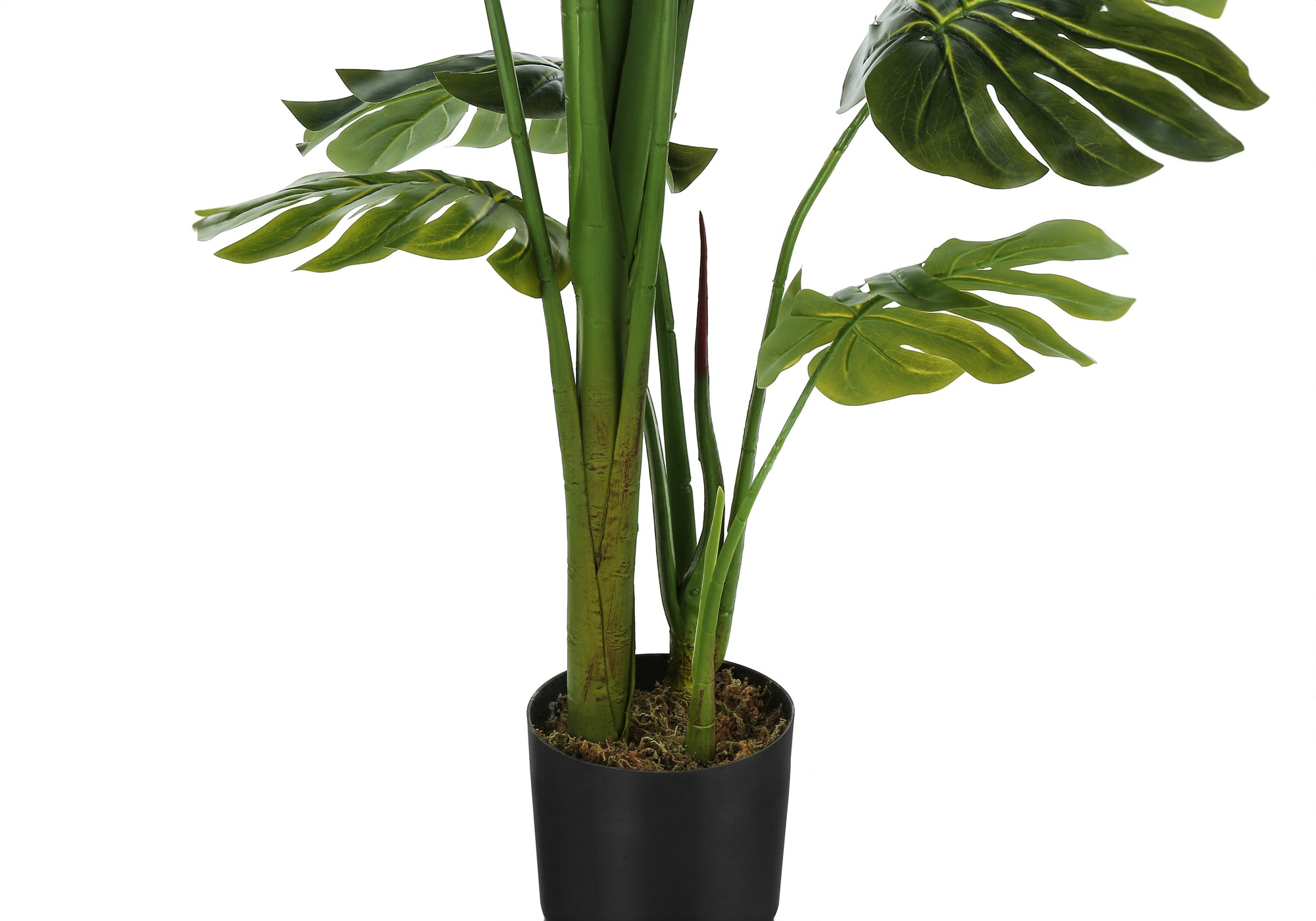 MN-539548    Artificial Plant, 55" Tall, Monstera Tree, Indoor, Faux, Fake, Floor, Greenery, Potted, Real Touch, Decorative, Green Leaves, Black Pot