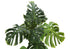 MN-539548    Artificial Plant, 55" Tall, Monstera Tree, Indoor, Faux, Fake, Floor, Greenery, Potted, Real Touch, Decorative, Green Leaves, Black Pot
