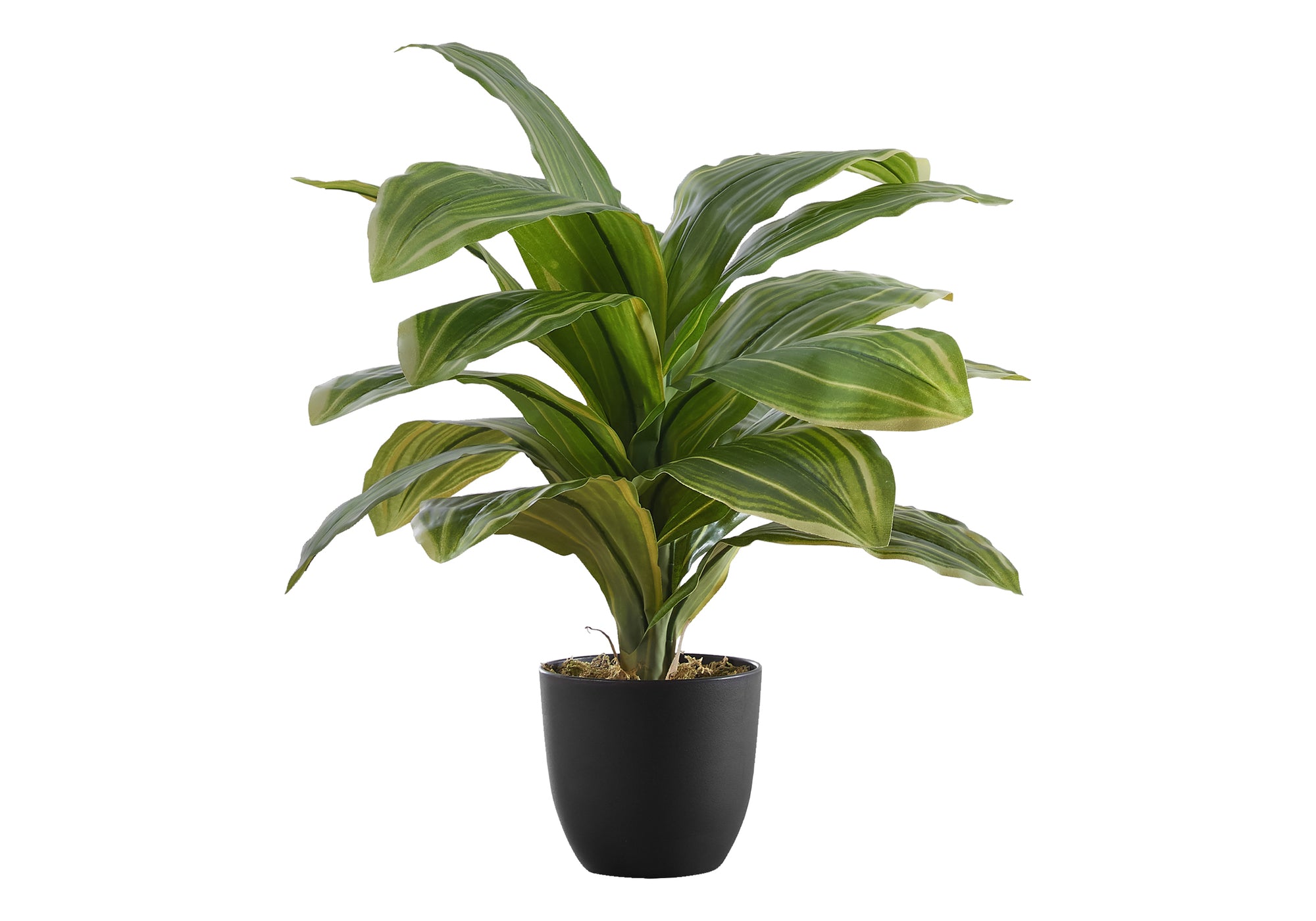 MN-649573    Artificial Plant, 17" Tall, Dracaena, Indoor, Faux, Fake, Table, Greenery, Potted, Real Touch, Decorative, Green Leaves, Black Pot