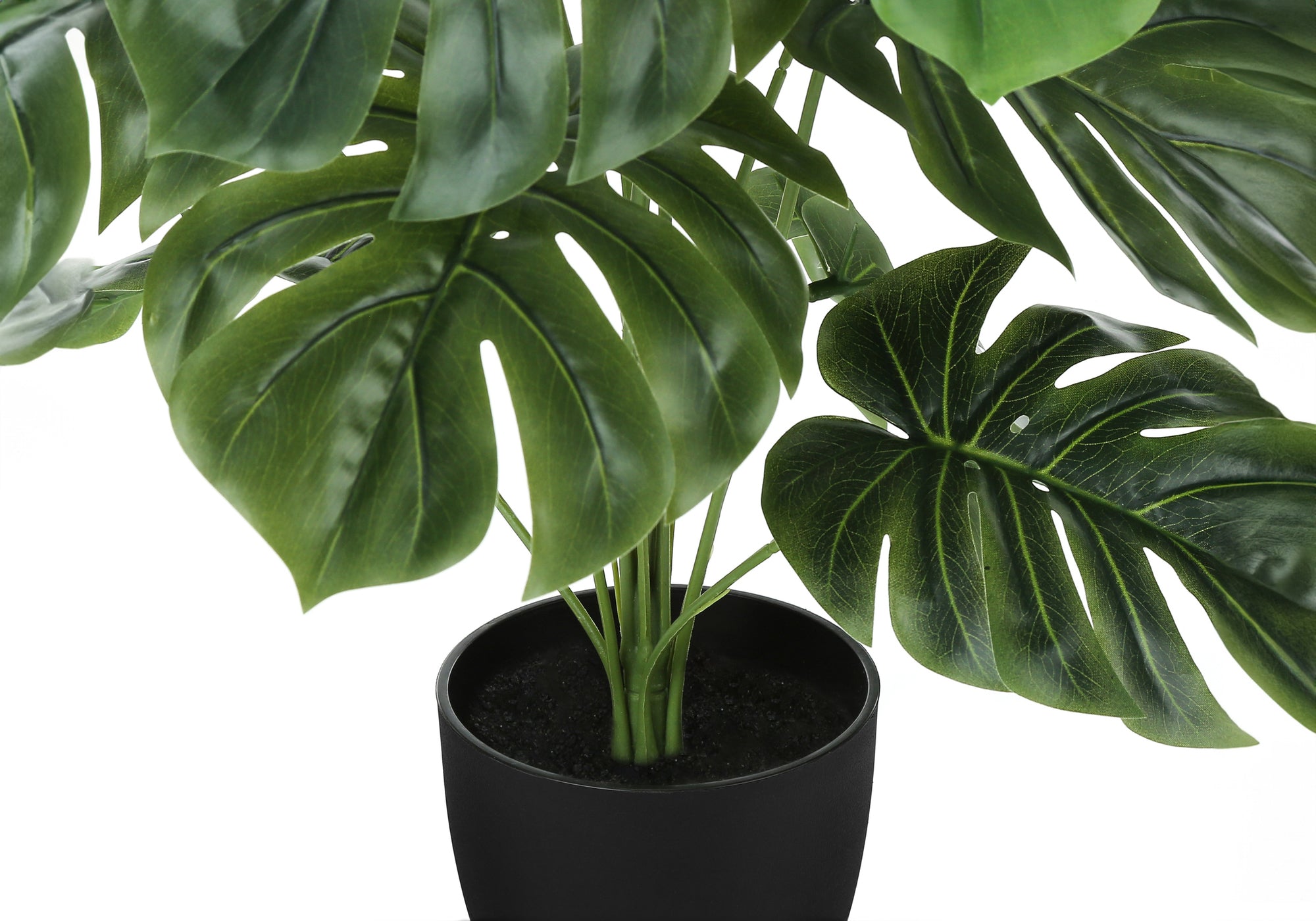 monstera plant minneapolis MN-679576 Artificial Plant, 24" Tall, Monstera, Indoor, Faux, Fake, Ta – Parliament Furniture Inc