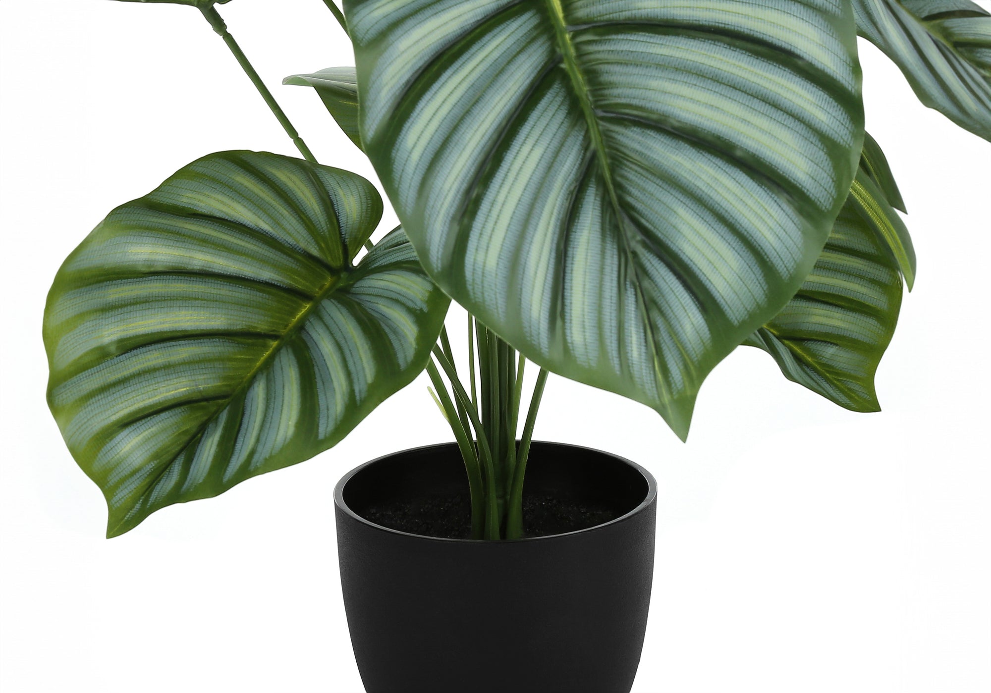 MN-689577    Artificial Plant, 24" Tall, Calathea, Indoor, Faux, Fake, Table, Greenery, Potted, Real Touch, Decorative, Green Leaves, Black Pot
