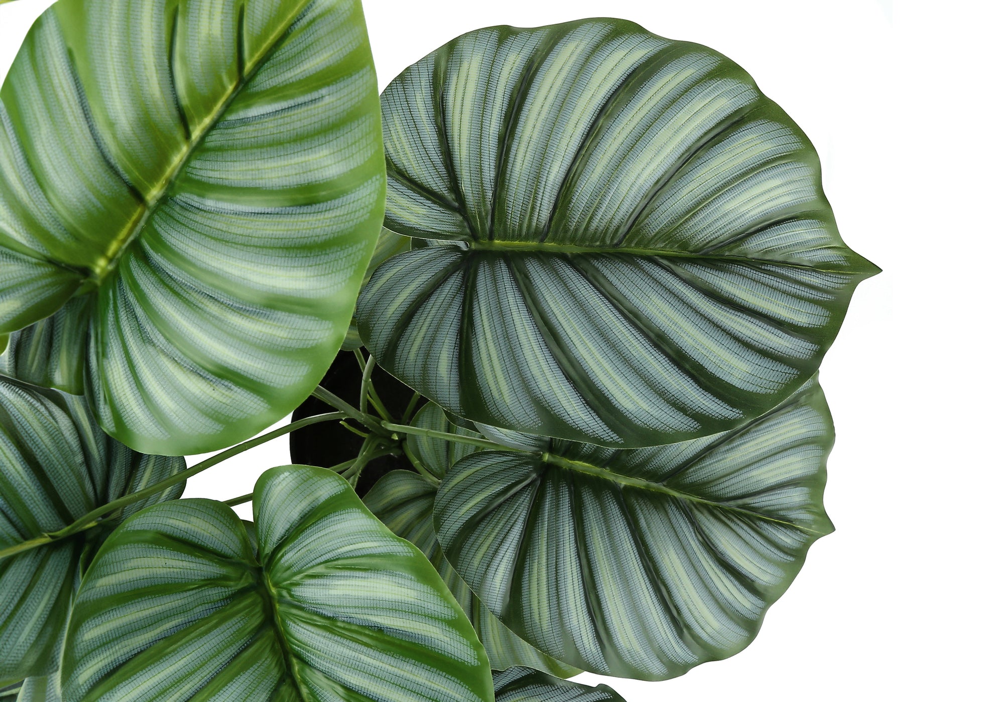 MN-689577    Artificial Plant, 24" Tall, Calathea, Indoor, Faux, Fake, Table, Greenery, Potted, Real Touch, Decorative, Green Leaves, Black Pot