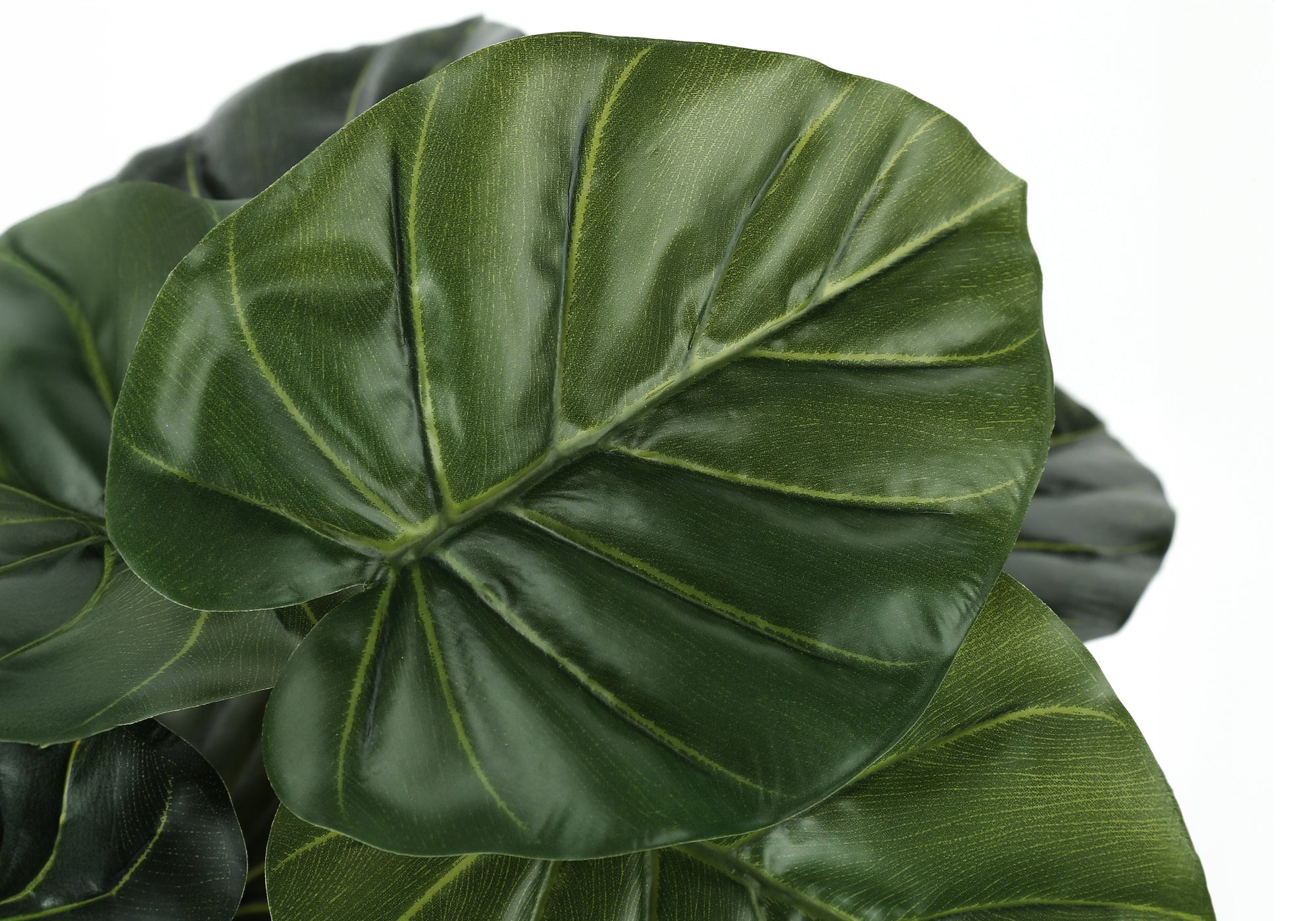 MN-699578    Artificial Plant, 24" Tall, Alocasia, Indoor, Faux, Fake, Table, Greenery, Potted, Real Touch, Decorative, Green Leaves, Black Pot