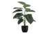 MN-699578    Artificial Plant, 24" Tall, Alocasia, Indoor, Faux, Fake, Table, Greenery, Potted, Real Touch, Decorative, Green Leaves, Black Pot