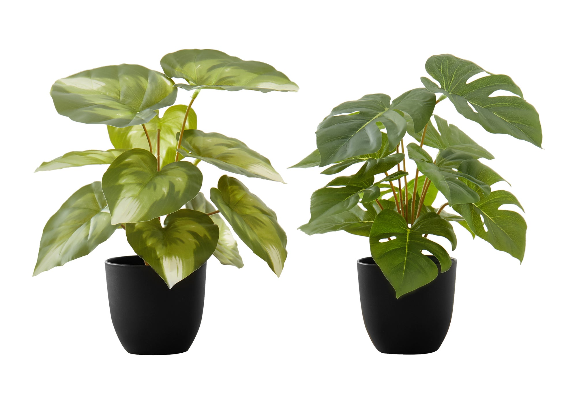 MN-749584    Artificial Plant, 13" Tall, Monstera Calthea, Indoor, Faux, Fake, Table, Greenery, Potted, Set Of 2, Decorative, Green Leaves, Black Pots
