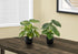 MN-749584    Artificial Plant, 13" Tall, Monstera Calthea, Indoor, Faux, Fake, Table, Greenery, Potted, Set Of 2, Decorative, Green Leaves, Black Pots