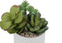 MN-789588    Artificial Plant, 7" Tall, Succulent, Indoor, Faux, Fake, Table, Greenery, Potted, Set Of 2, Decorative, Green Plants, White Ceramic Pots